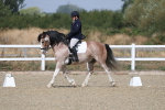 SBM_020914