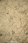240822X-143826-10490