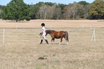 WJ6_9438