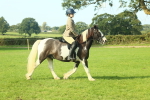SBM_59820