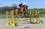 BPP_3273
