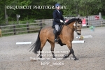 BPP_5685