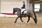 BPP_9185