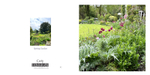 028 Spring garden