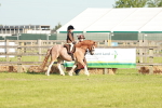 SBM_11042