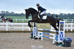 Cls 6 British Novice & 90cm Open portfolio