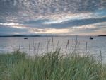 Tayinloan P7295526a