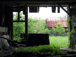 Abandoned Farm | some slight hope for redemption