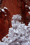 Snowy Alcove