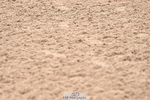 240720A-115938-14658