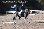 BPP_9411