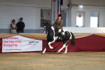 SBM_02917