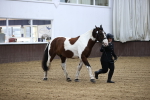 SBM_5291