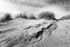 Dunescape 01