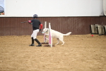 SBM_001868