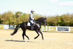 SBM_000196