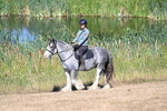 WJ7_7465