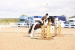 SBM_07325