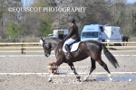 BPP_9462