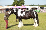 SBM_08822