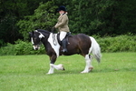 WJ7_2336