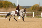 SBM_010431