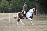 WJ7_7739