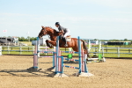 SBM_003216