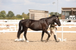 SBM_04523