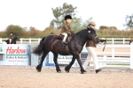 SBM_09005