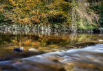 Afon Mawddach, Coed y Brenin