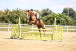 SBM_008061