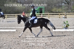 BPP_9663