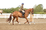 SBM_00648
