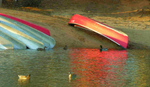 Ducks & red canoe