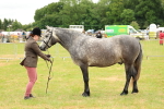 SBM_04054