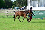 SBM_01034