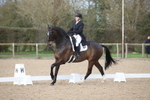 British Dressage portfolio