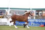 SBM_09763