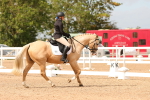 SBM_03746