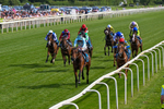 230526-Race 6-Pearl River-0607