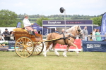 SBM_06974