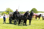 SBM_06654