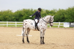 SBM_005885