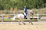 SBM_003246