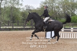 BPP_4211