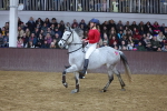 SBM_003687