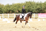 SBM_002918