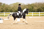 SBM_007498