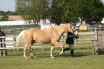 SBM_10461